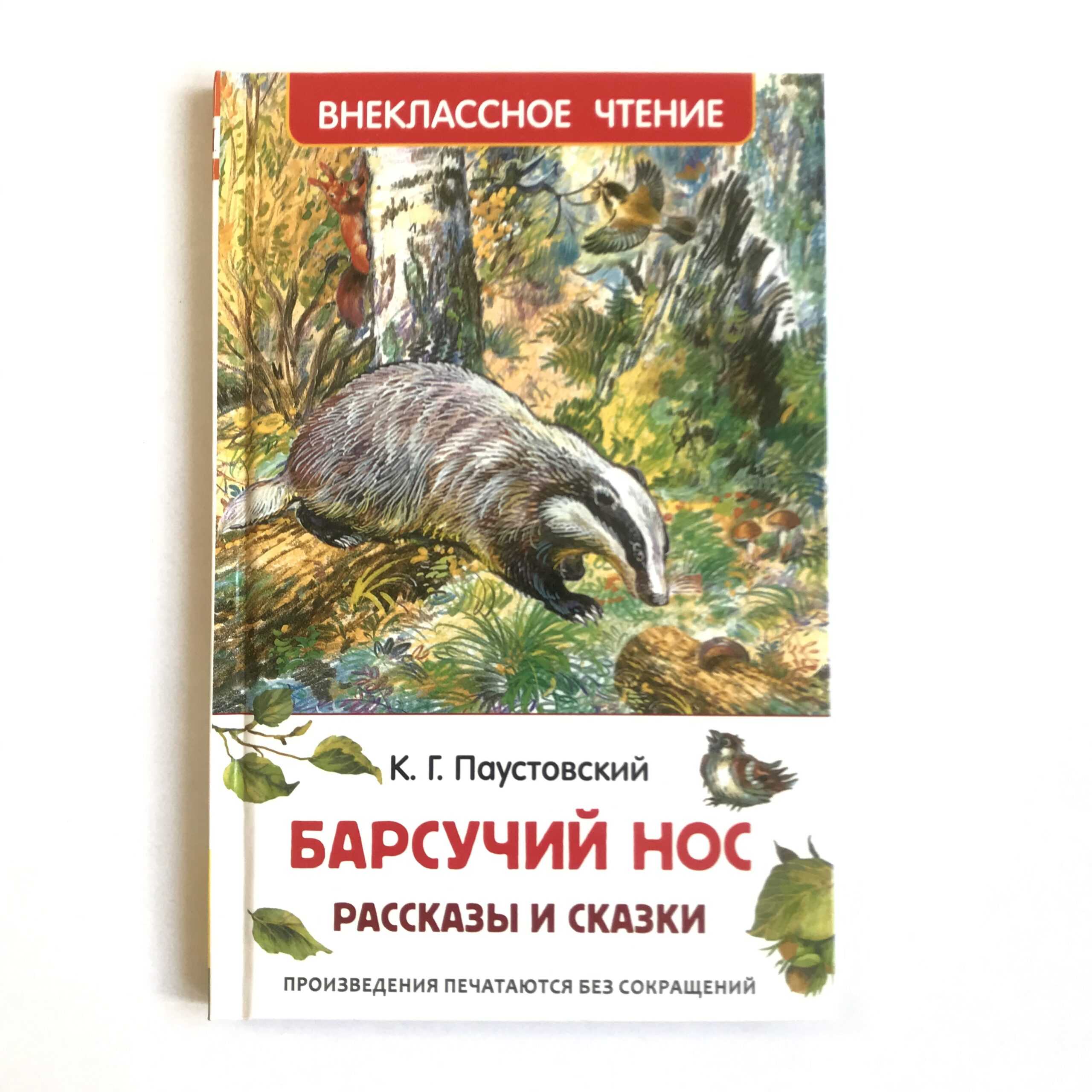 Рассказ Паустовского Барсучий нос о происшествии, которое случилось на берегу озера в осенний день Люди у озера разожгли костер и начали жарить картошку Они