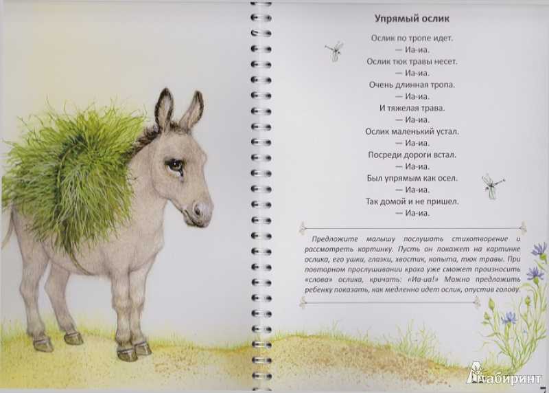 Сказки про ослика и его друзей