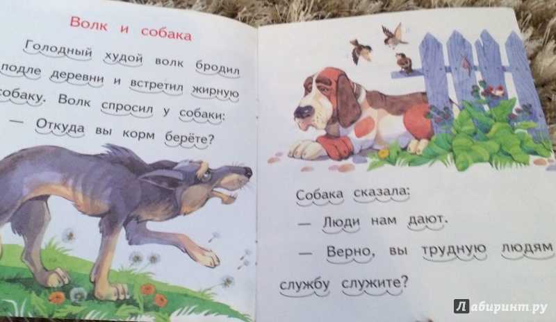 Лев толстой - басни, сказки, рассказы | критика