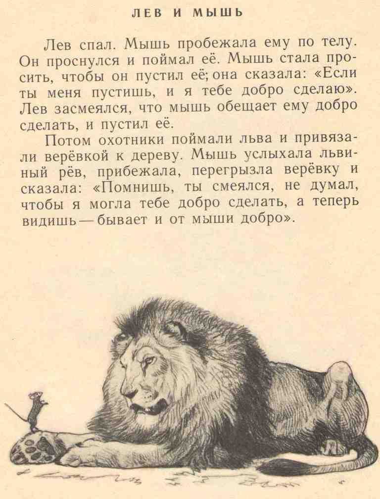 Лев, волк и лисица. басня толстого - я happy мама