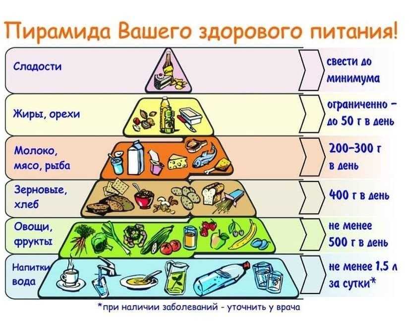 Ягода ирга: полезные свойства и противопоказания, применение, уход