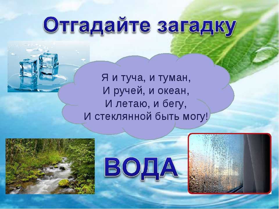 Загадки про воду для детей. загадки о воде в природе с ответами для младших школьников