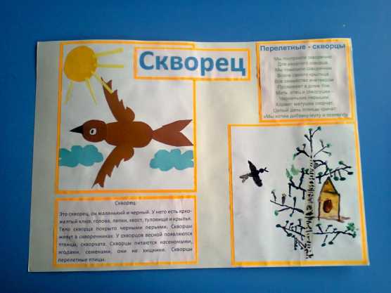 Птицы которые улетают зимой на букву п. какие птицы перелетные? какие птицы улетают осенью
