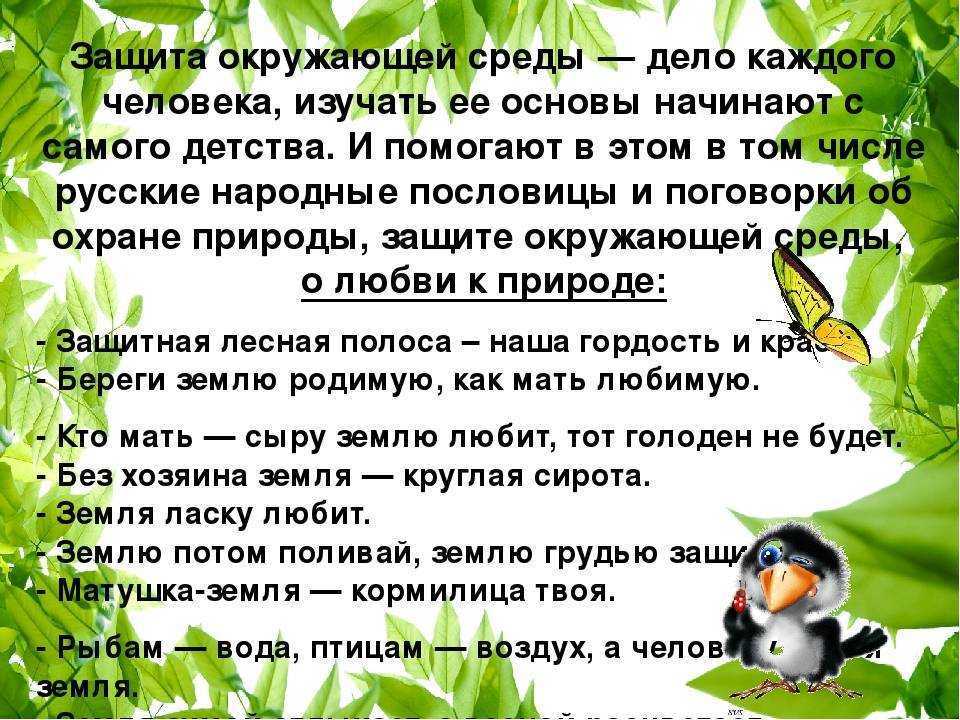 Пословицы о природе - 110 пословиц и поговорок