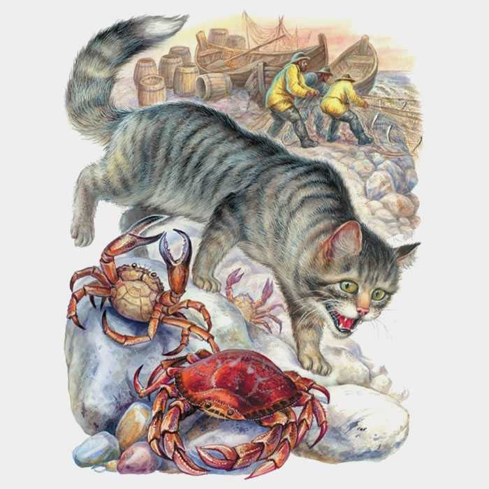 Русские народные сказки, детские рассказы, сказки мира, стихотворения, загадки!