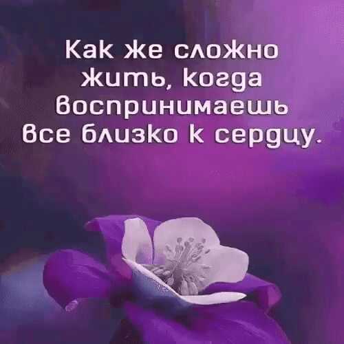 Пословицы про яблоню для детей