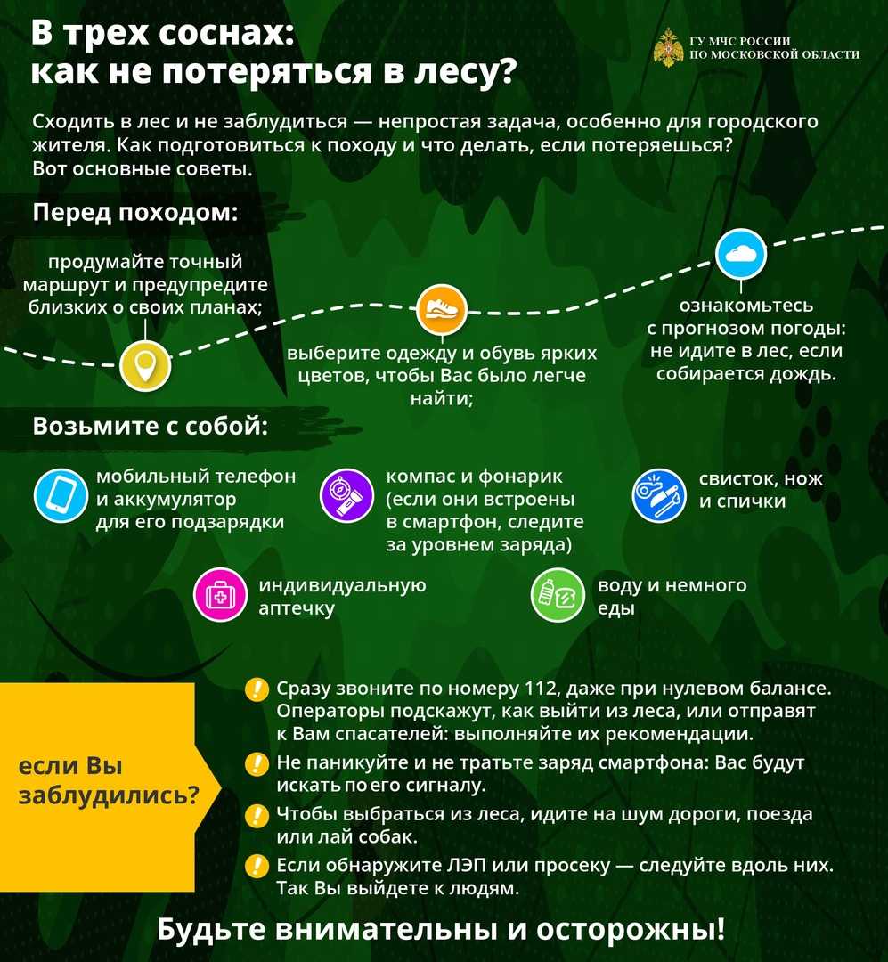 Описание весеннего леса как хорошо ранней весной. весна в лесу – сочинение