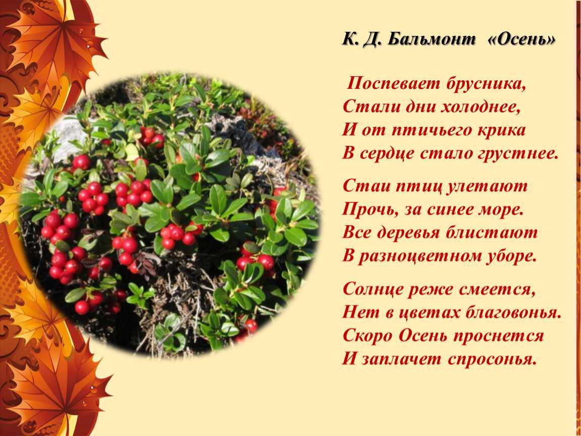 Природы чистой красота