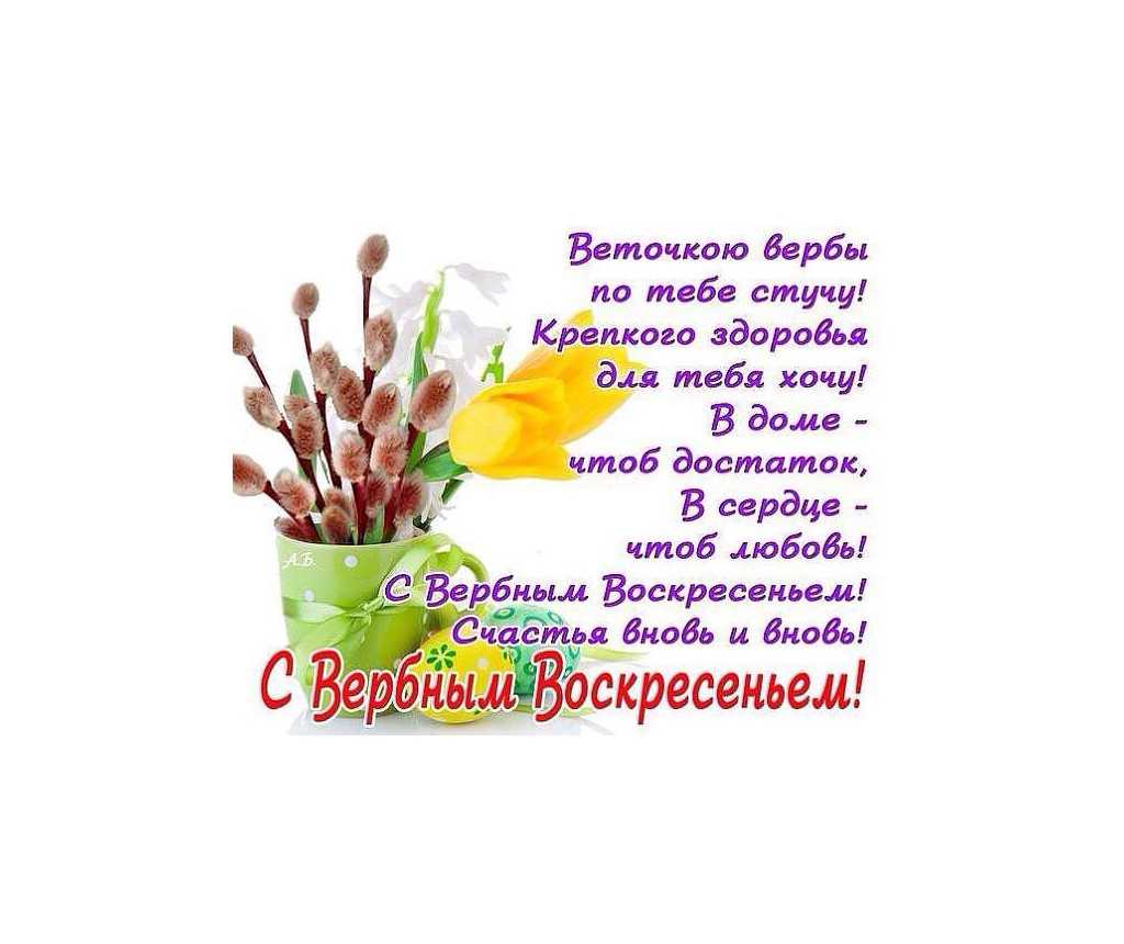 Загадки про дерева українською мовою - dovidka.biz.ua