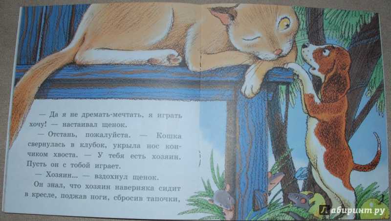 А. с. пушкин. евгений онегин. текст произведения. глава первая
