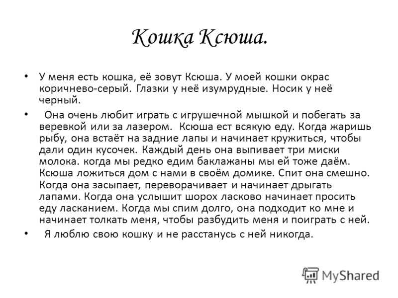 Кошки – это наши очаровательные соседи по планете Они такие разные: мягкие, пушистые, самобытные, элегантные, одним словом… красивые Очаровательная кошка