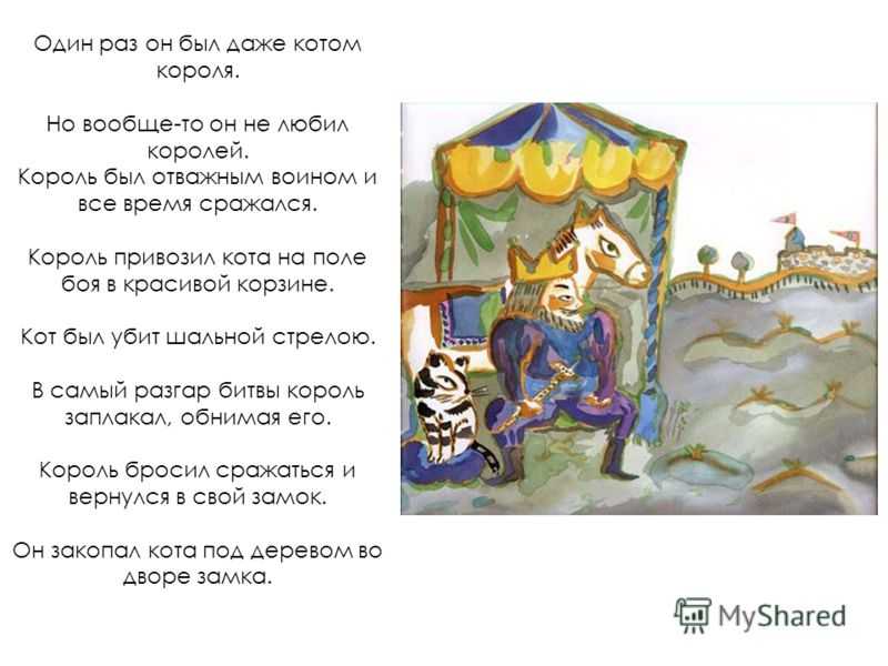 Дикая муза: писатели и их кошки
