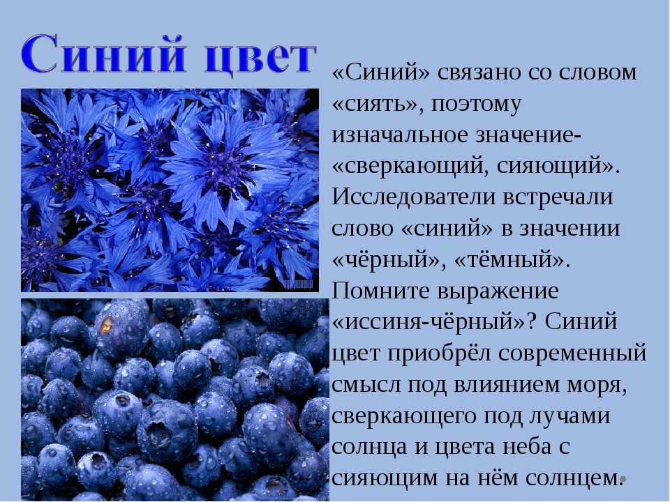 Голубой стихи текст. Синий цвет в психологии. Описание синего цвета. Голубой цвет значение. Интересные факты о синем цвете.