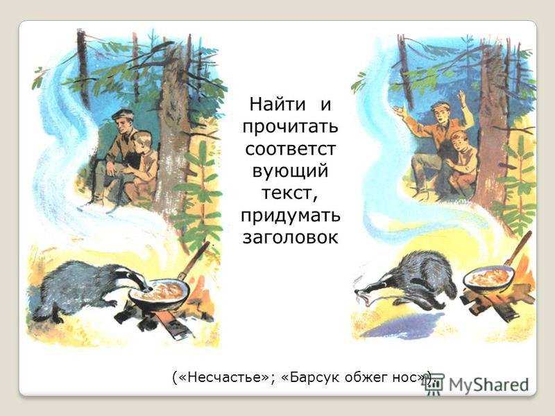 Барсучий нос