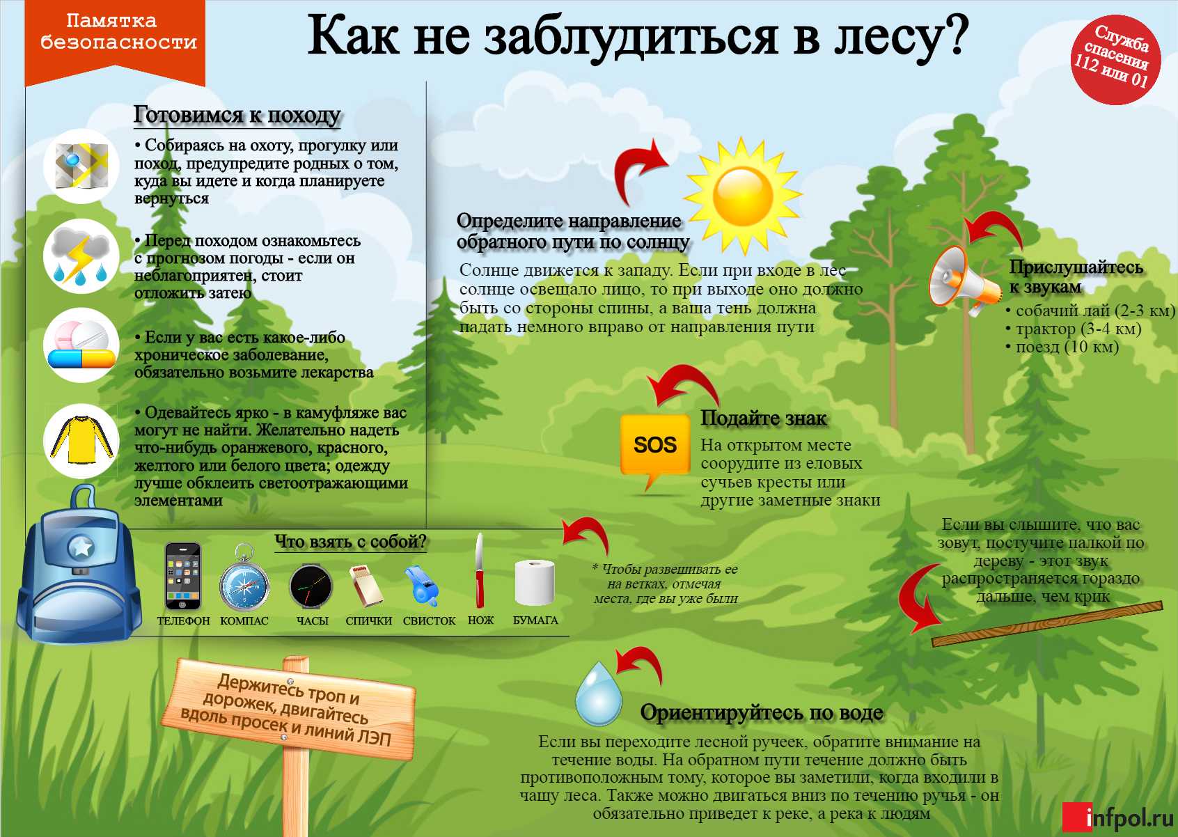 Проект почему у елки колкие иголки