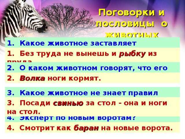 Пословицы и поговорки о животных для детей