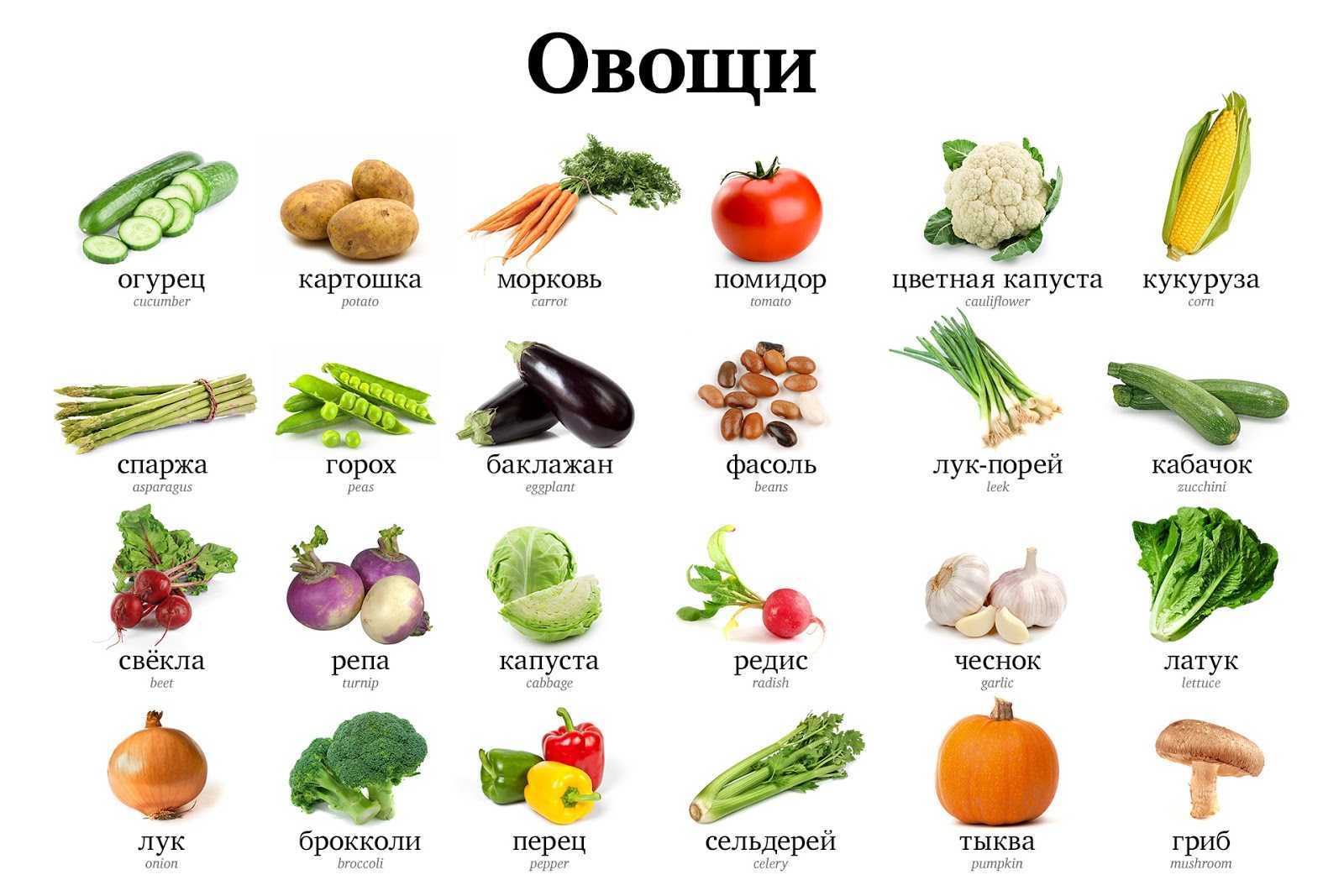 Блюдо на ю. кулинарный словарь — слова на ‘ю’