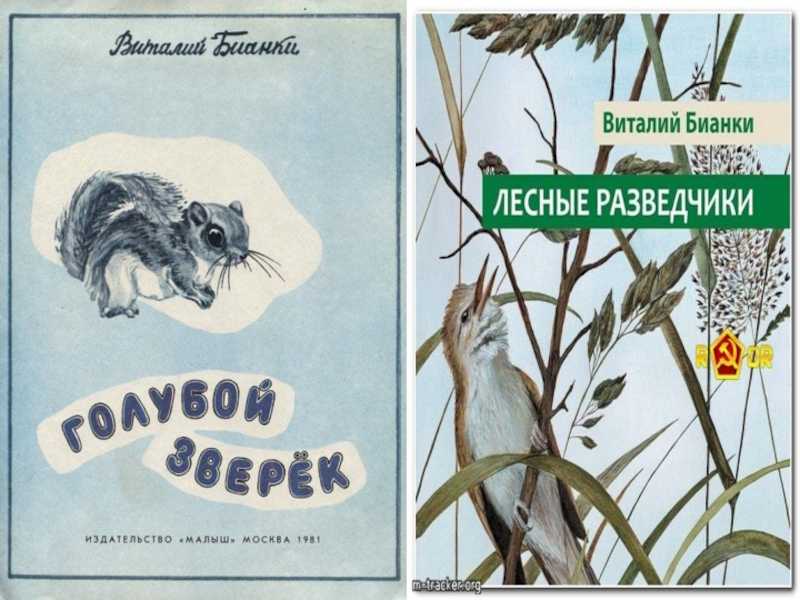 Виталий бианки, «лесная газета»: краткое содержание и главные герои