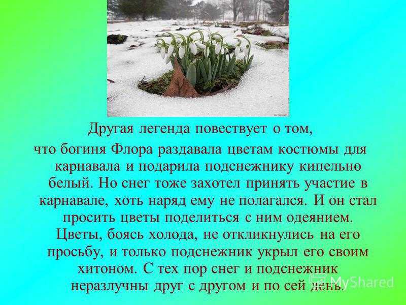 Сказки про подснежник - stranakids.ru