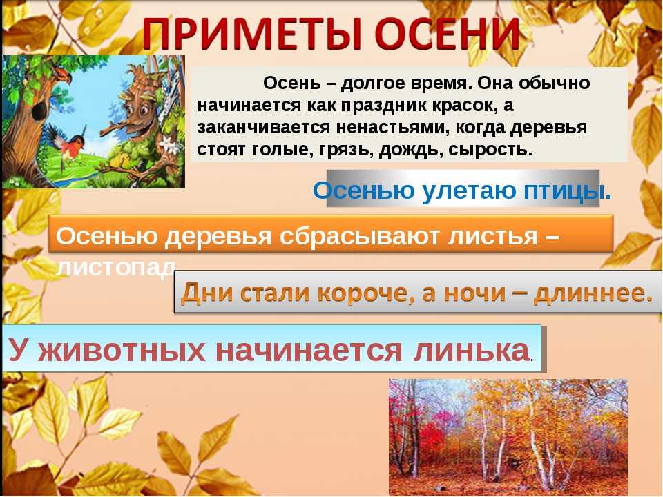 Рассказ осенняя жизнь растений 2 класс