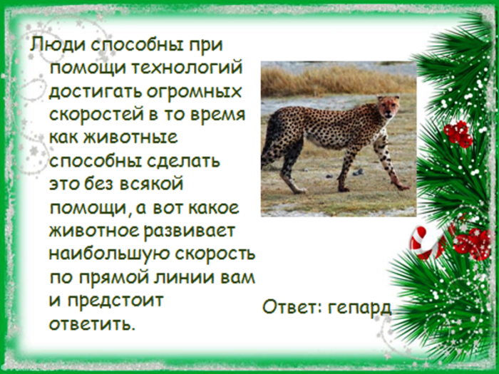 Что относится к живой природе и неживой: доходчивое объяснение