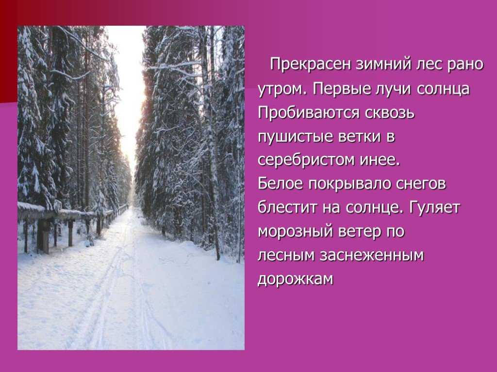 Сочинение на тему "деревья в снегу" (5, 6, 7, 8, 9 класс)