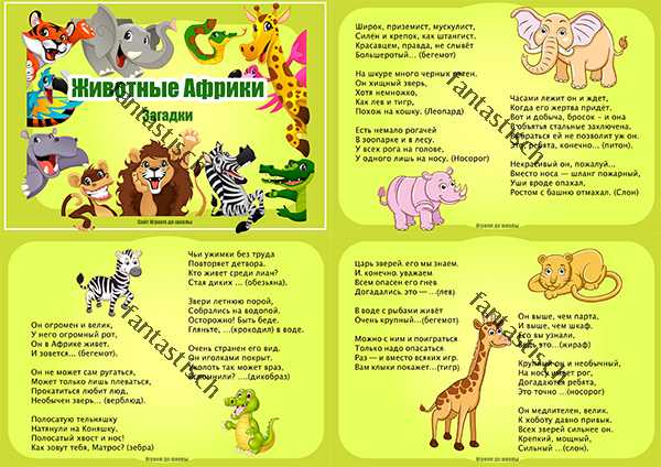 Загадки о диких животных для детей