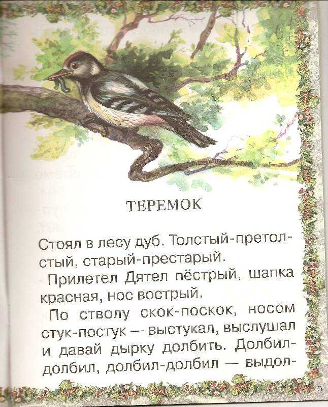 Бианки теремок