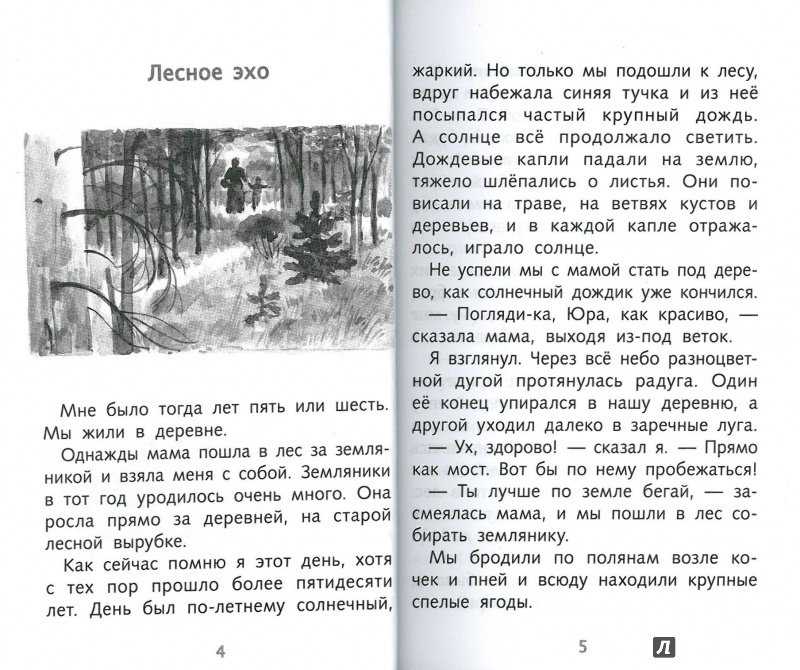 Пропавший медведь
