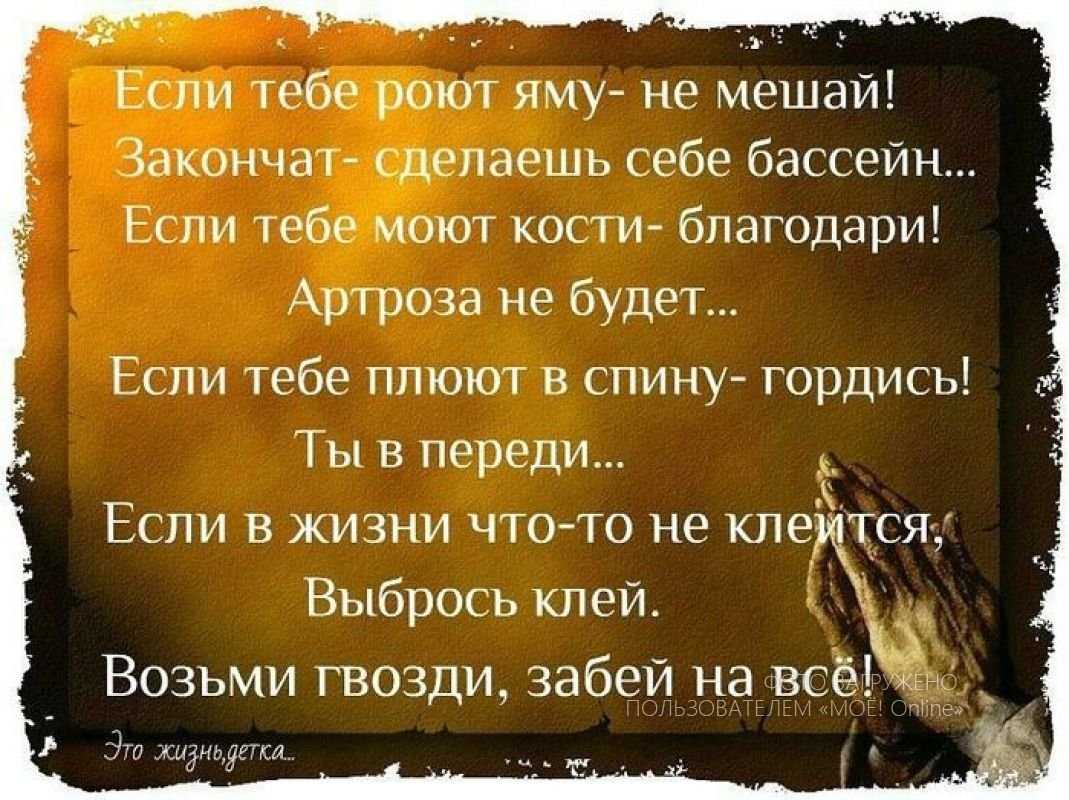 Поговорки про птиц - clubtravelms.ru