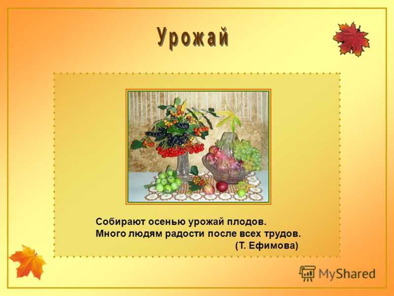 Томат сказка: описание сорта, фото, отзывы, характеристика