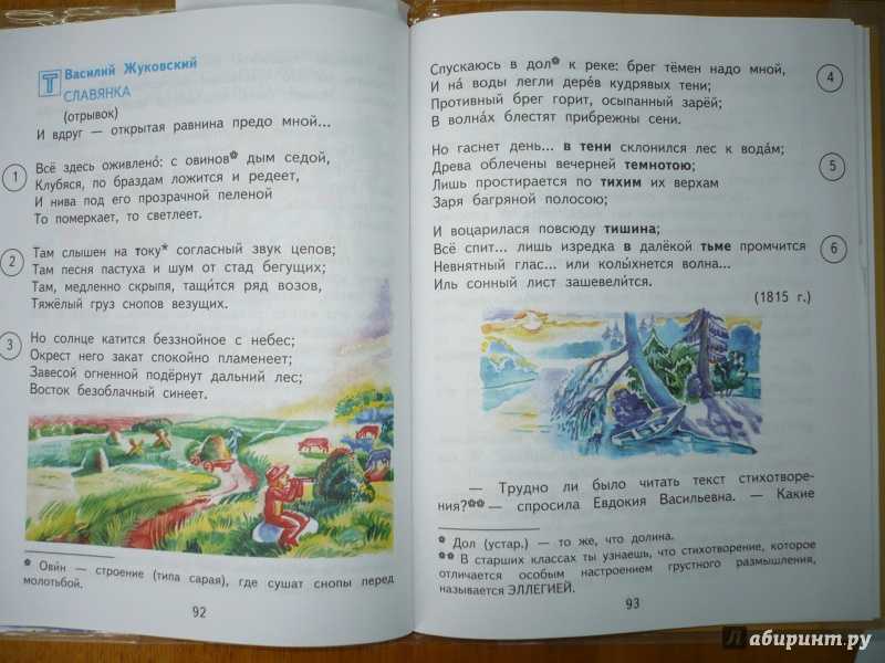 Маленький лесовод