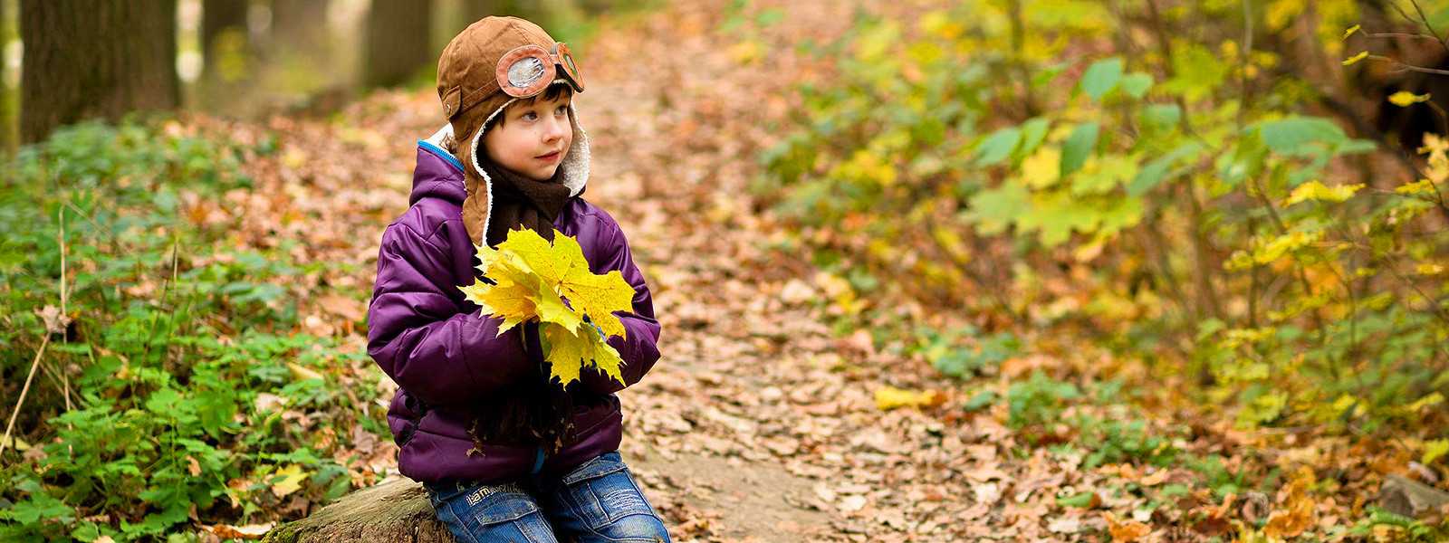 Осенние сказки для детей дошкольников 5-6 лет