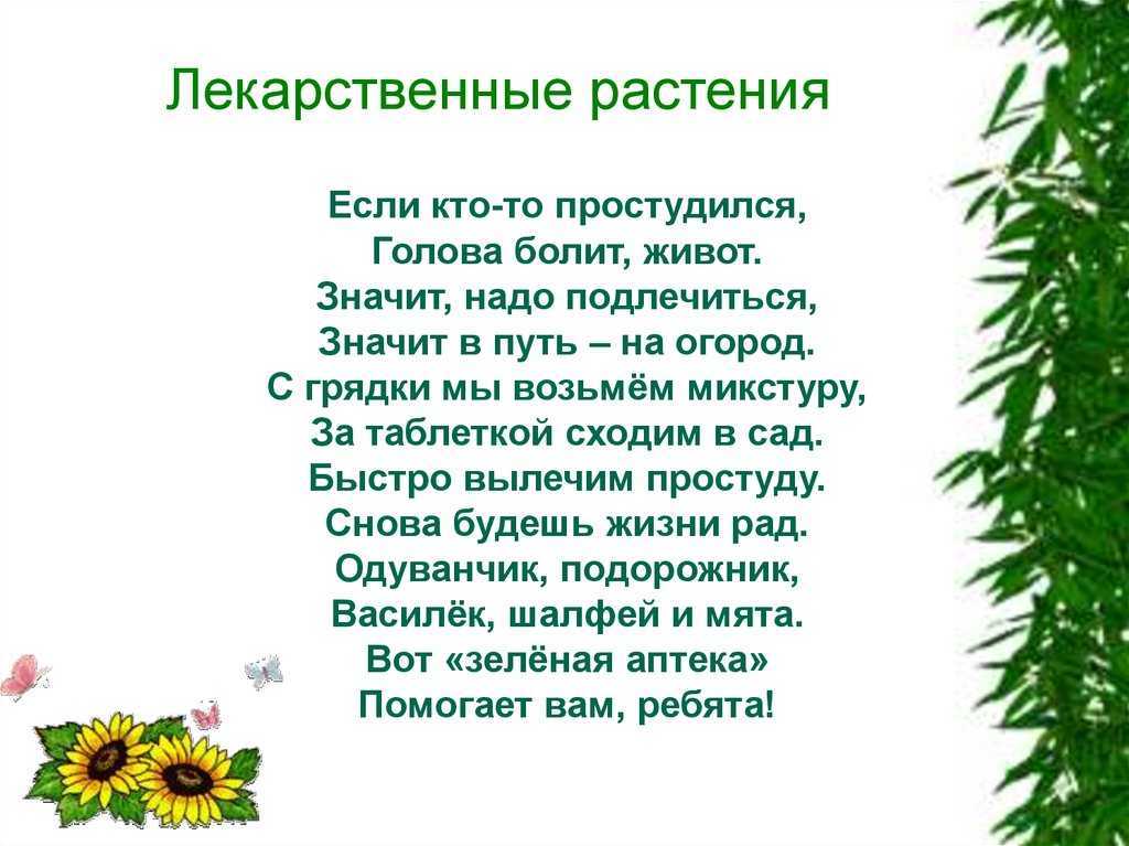 Загадки про растения с ответами для детей