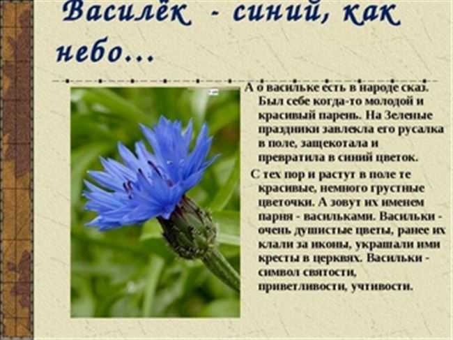 Презентация для классного часа на тему красная книга тульской области. растения.  доклад, проект