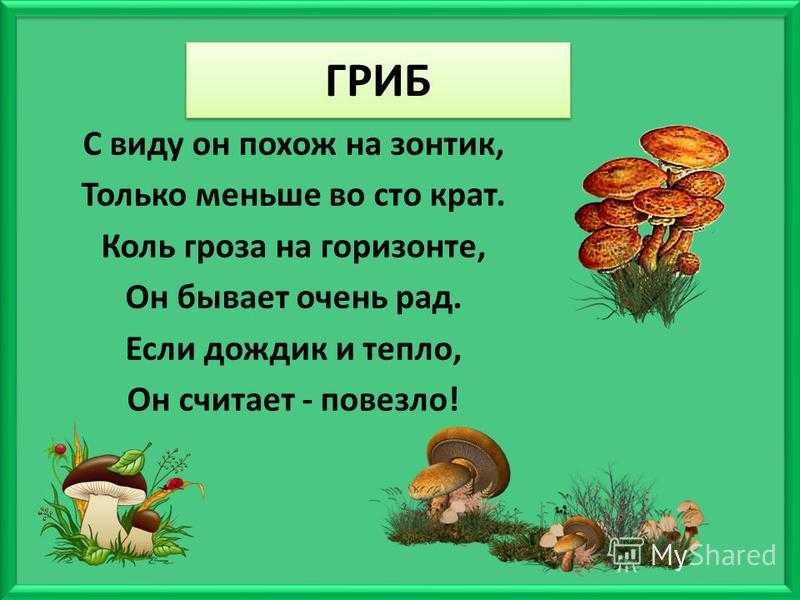 Маленькое четверостишье про весну. короткие стихи про весну