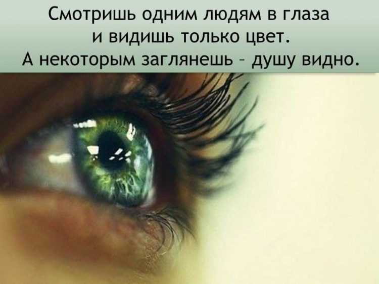 Пословицы про глаза, очи | пословицы для детей
