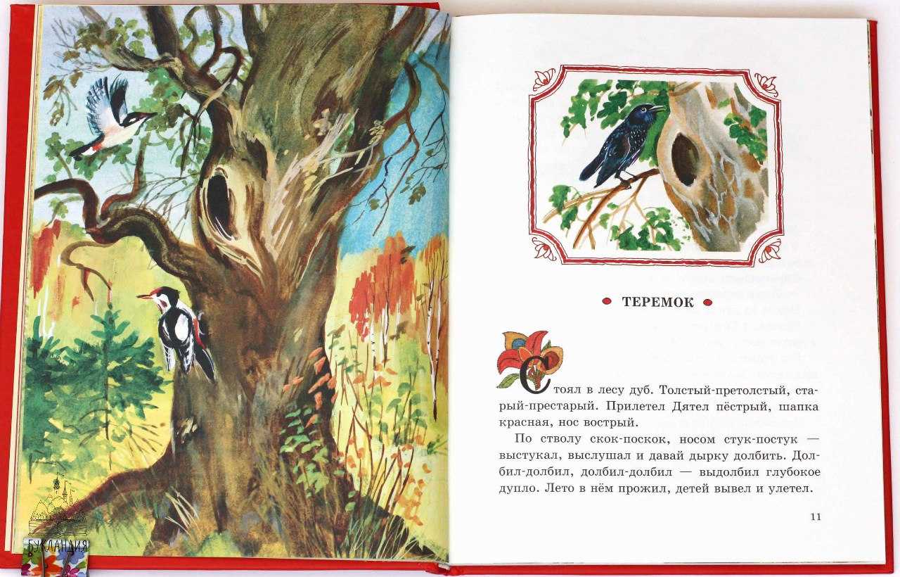 Бианки «теремок»