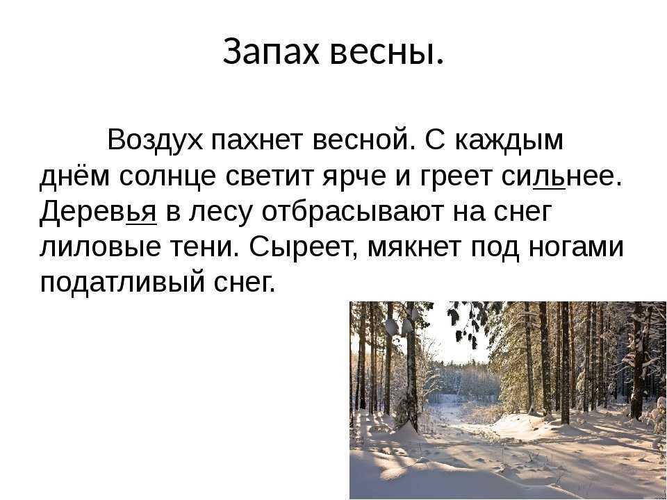 Каким бывает лес весной. сочинение на тему весенняя природа (описание). что такое лес