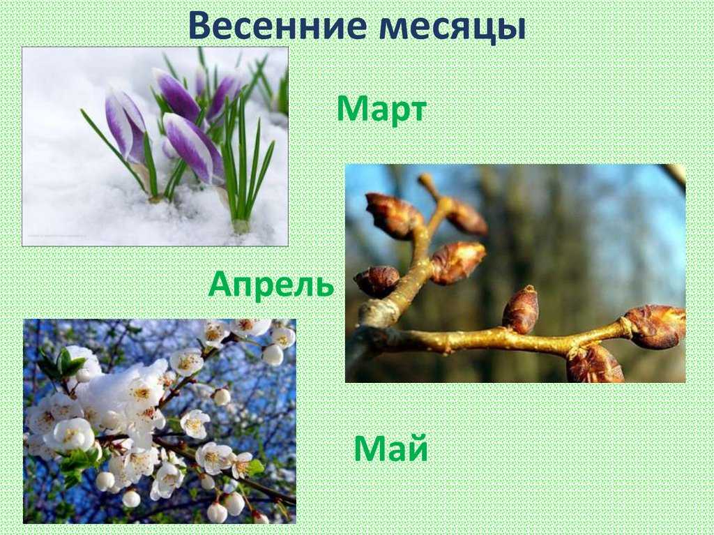 Весна. весенние месяцы. весенние явления природы. весенние приметы о погоде.