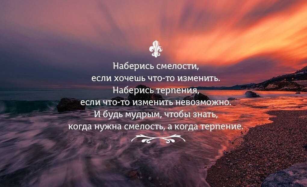 55 великих цитат спортсменов про спорт и мотивацию