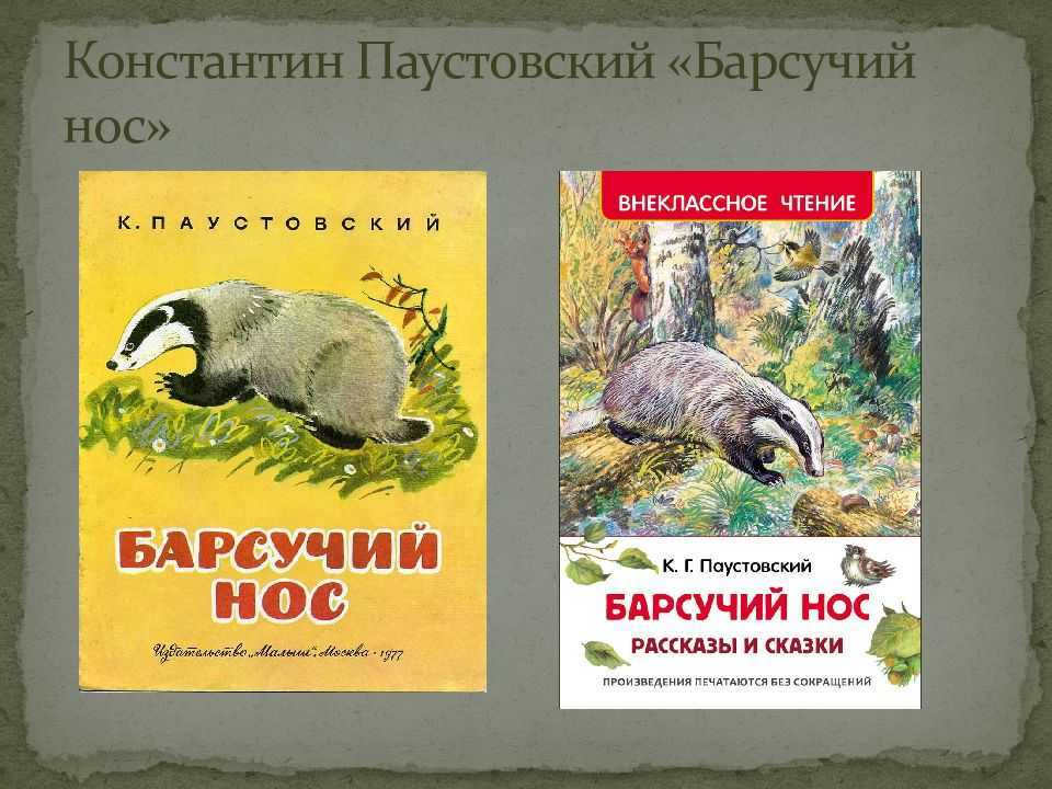 Паустовский константин рассказ «барсучий нос»