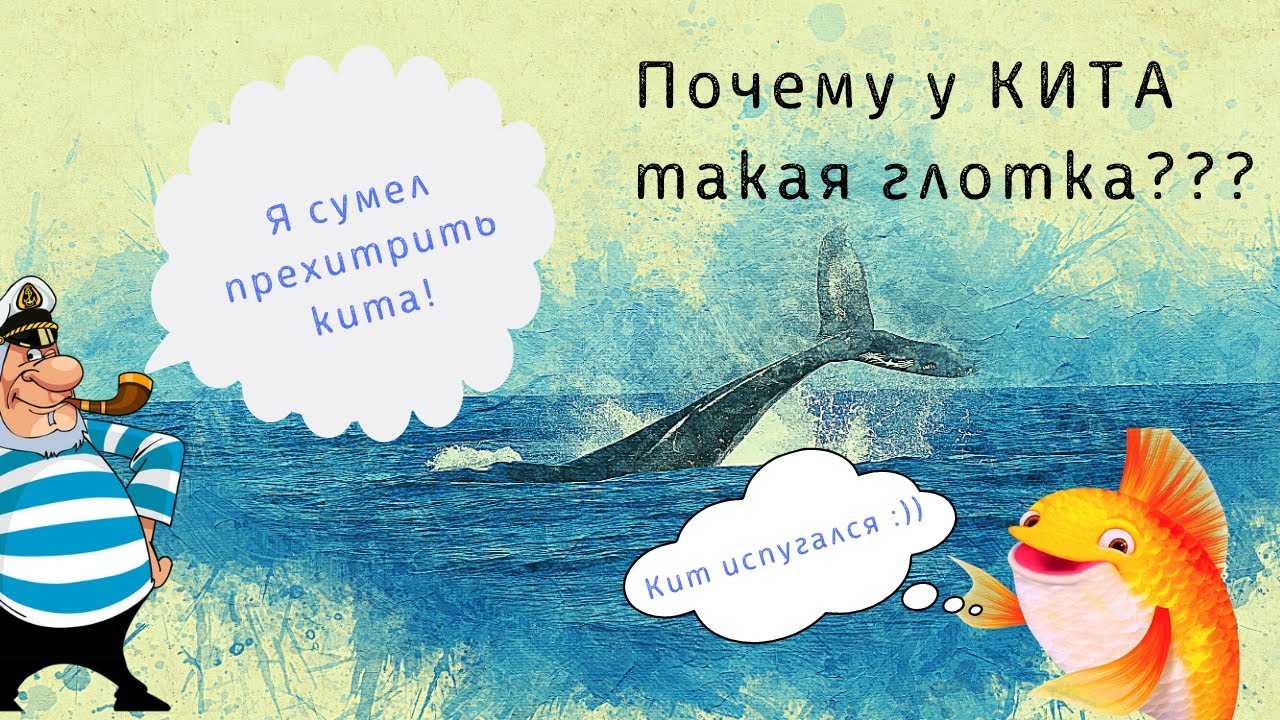 Жила была рыба кит. чудо-юдо рыба-кит: миф или реальность. един ли образ чудища