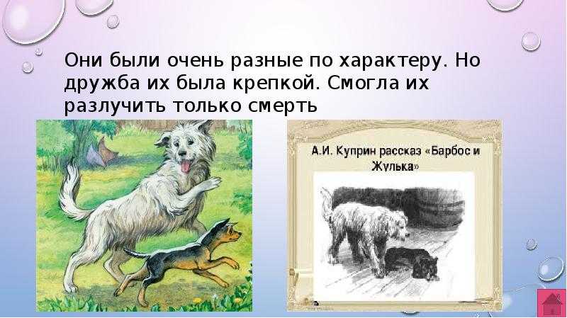 Анализ рассказа «барбос и жулька» (а.и. куприн) | литрекон