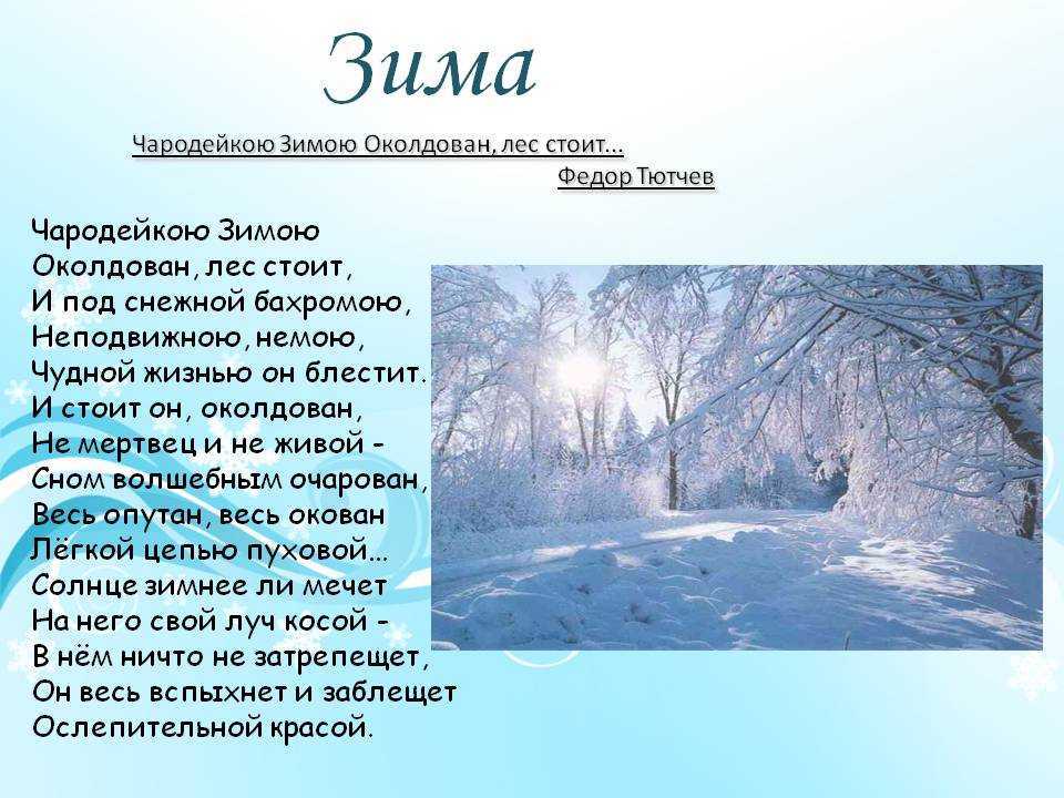 Серёжкины приключения