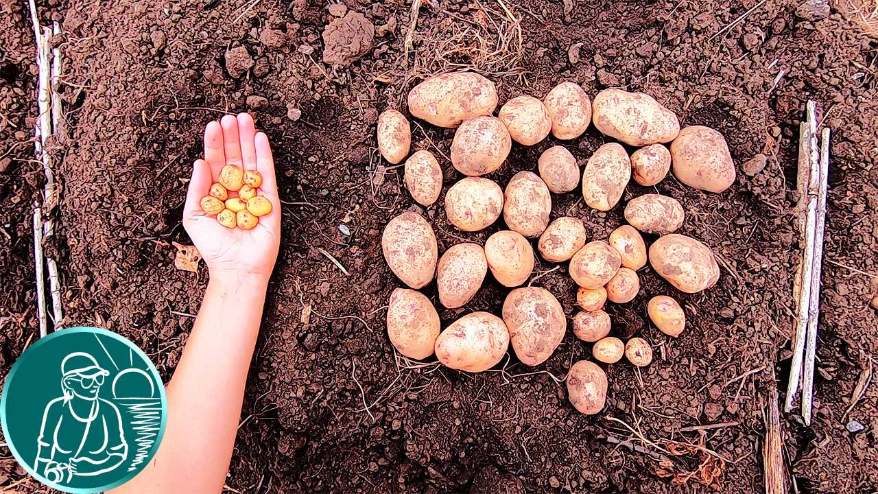 14 реальных историй из путешествий, которые могли присниться только в страшном сне