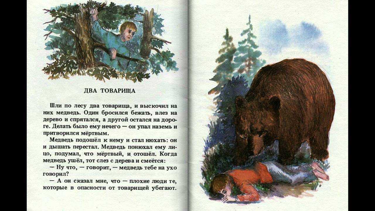 Какая пословица подходит к рассказу два брата