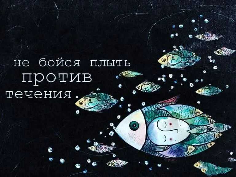 Итоговое сочинение: что означает фраза «плыть по течению»?