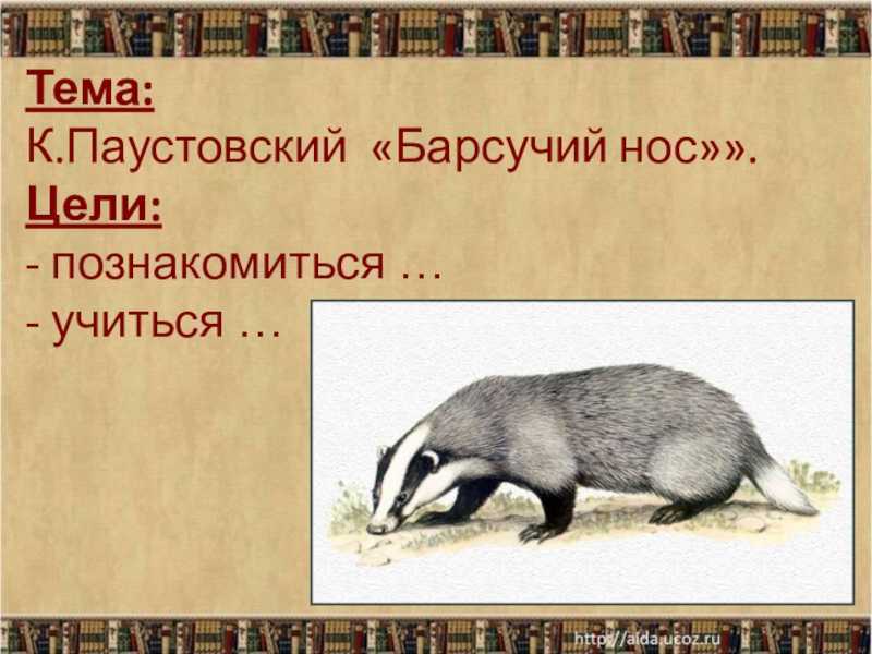 Константин паустовский - барсучий нос » книги читать онлайн бесплатно без регистрации