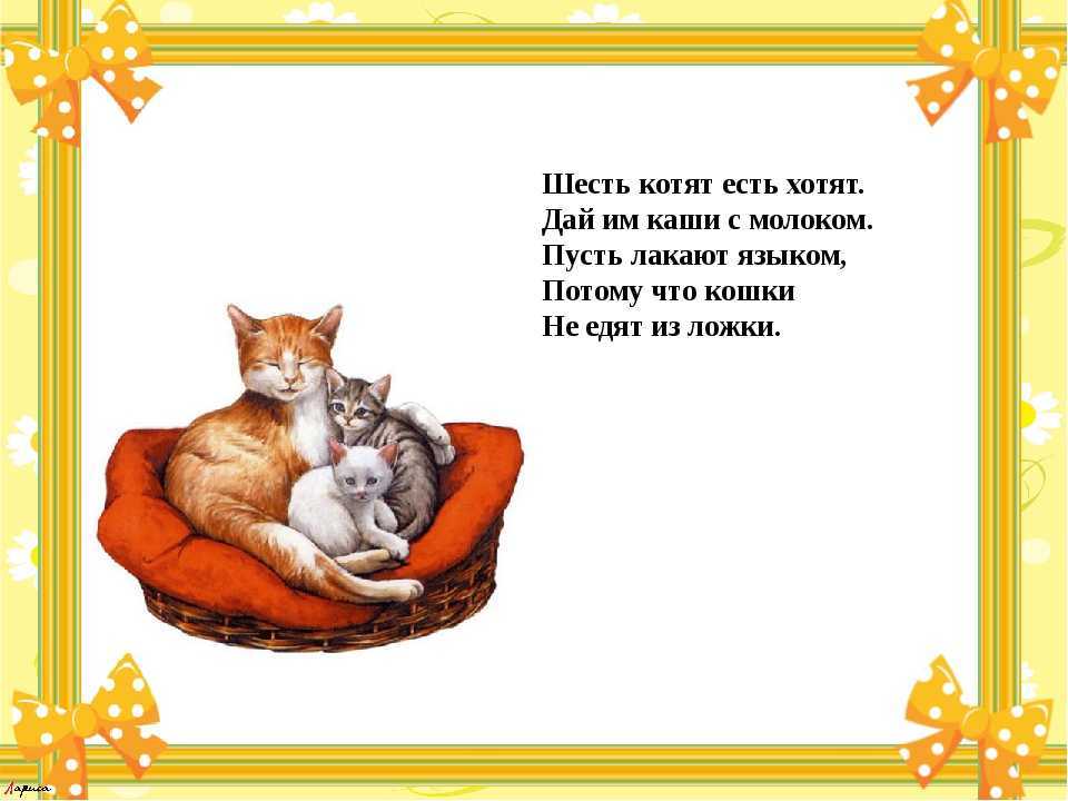 Все стихи маршака про котят